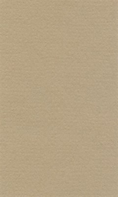 Бумага для пастели "Lana" Lana Colours цв. белый серый, 160 г/м², 50х65 см, 1л - фото 10459
