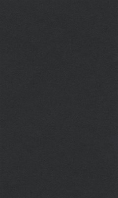 Бумага для пастели "Lana" Lana Colours цв. черный, 160 г/м², 50х65 см, 1л - фото 10490