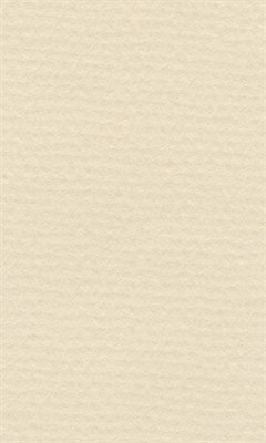 Бумага д/пастели lana colours А4 160г/м2, 21*29,7 см, цвет слоновая кость, 1л  - фото 10539