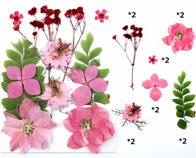 Сухоцветы д/творчества и декора "цветочки" розовый микс с листиками - фото 10585