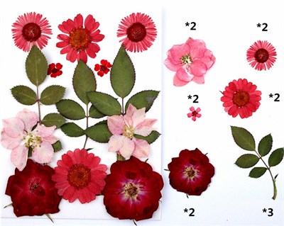 Сухоцветы д/творчества и декора "цветочки"красно-розовый микс с листьями розы - фото 10588