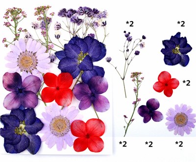 Сухоцветы д/творчества и декора "цветочки"сиреневый микс - фото 10589