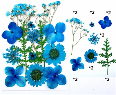 Сухоцветы д/творчества и декора "цветочки"голубой микс - фото 10590