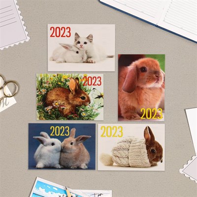 Карманный календарь "Символ года" 2023 год, 7*10см, МИКС - фото 10602