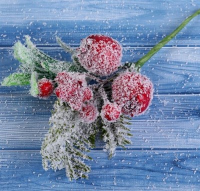 Декор "Зимнее очарование" ягодки звёздочка хвоя 15 см - фото 13794