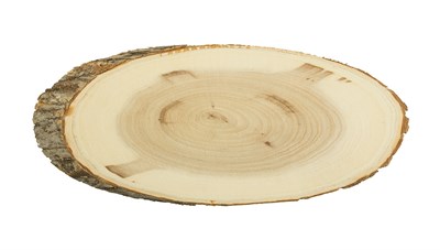 Срез дерева косой 25 x 45 см "Blumentag" СРЕЗ-08 - фото 13895