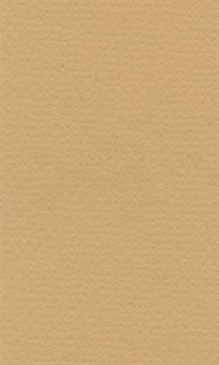 Бумага д/пастели lana colours 160г/м2, 42х29,7 см, цвет песочный, 1л  - фото 14216