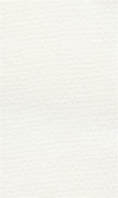 Бумага д/пастели lana colours А3 160г/м2, цвет белый, 1л  - фото 14217