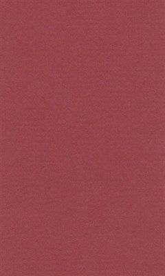 Бумага д/пастели lana colours А3 160г/м2, цвет красный 1л  - фото 15048