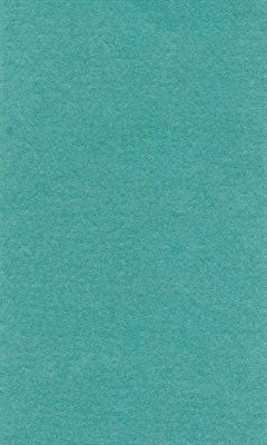 Бумага д/пастели lana colours А3 160г/м2, цвет мята, 1л  - фото 15049