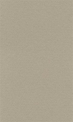 Бумага д/пастели lana colours А3 160г/м2, цвет жемчужный, 1л  - фото 15050