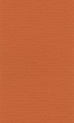Бумага д/пастели lana colours А3 160г/м2, цвет оранжевый, 1л  - фото 15052