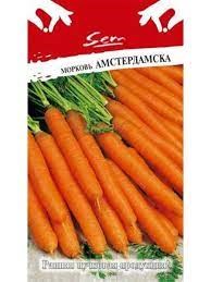 Семена Морковь Амстердамска 2гр - фото 17838
