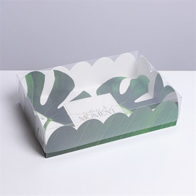 Коробка д/кондитерских изделий с PVC крышкой «Эко», 20*30*8см - фото 18230