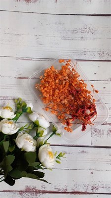Сухоцветы д/творчества и декора "цветочки" оранжевый - фото 19319