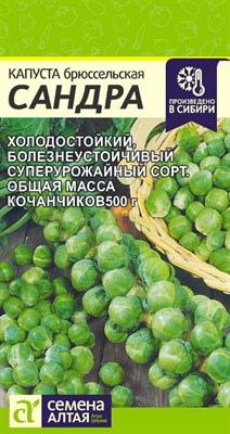 Семена Капуста Брюссельская Сандра 0,5г 107413 - фото 19395