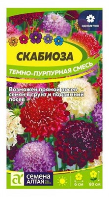 Семена Скабиоза темно-пурпурная смесь 0,2гр 107873 - фото 19882