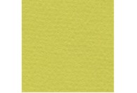 Бумага д/пастели lana colours А4 160г/м2, 21*29,7 см, цвет фисташковый, 1л  - фото 19916
