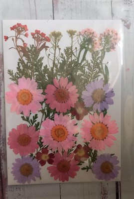 Декор Сухоцветы мини "цветочки" ассорти 10*14см, сиренево-розовый  - фото 20509