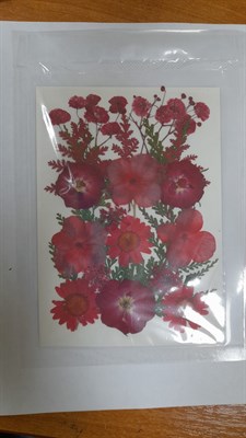 Декор Сухоцветы мини "цветочки" ассорти 10*14см, красный микс - фото 21071