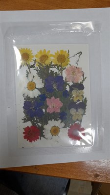 Декор Сухоцветы мини "цветочки" ассорти 10*14см, ромашки микс - фото 21072