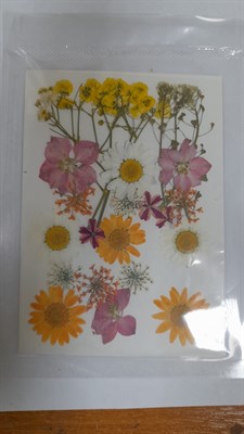 Декор Сухоцветы мини "цветочки" ассорти 10*14см, желтый- белый микс календула+ромашка - фото 21075