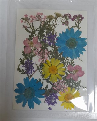 Декор Сухоцветы мини  ассорти 10*14см разноцветный микс - фото 21076