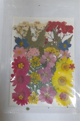 Декор Сухоцветы мини цветочки ассорти 10*14см разноцветный микс  - фото 21080