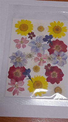 Декор Сухоцветы мини "цветочки" ассорти 10*14см желто-голубой - фото 21087