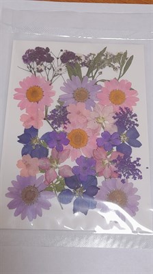 Декор Сухоцветы мини "цветочки" ассорти 10*14см, лавандово-розовый  - фото 21088
