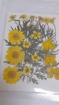 Декор Сухоцветы мини "цветочки" ассорти 10*14см, желтый микс+ полынь - фото 21089