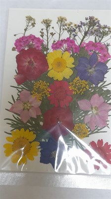 Декор Сухоцветы мини цветочки ассорти 10*14см радужный микс  - фото 21090
