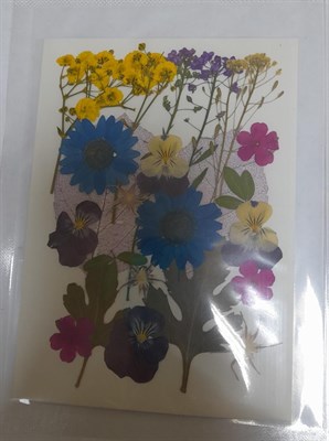 Декор Сухоцветы мини "цветочки" ассорти 10*14см ромашко-фиалковый микс - фото 21094