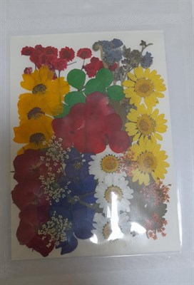 Декор Сухоцветы мини цветочки ассорти 10*14см ромашки микс - фото 21098