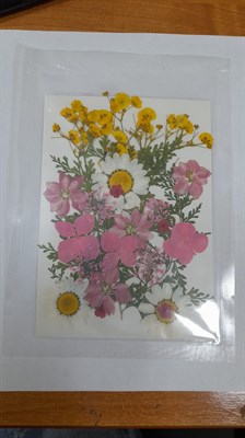 Декор Сухоцветы мини "цветочки" ассорти 10*14см, желтый розовый микс флоксы - фото 21632