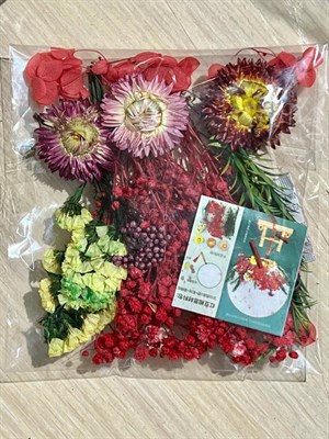Набор сухоцветов красная гипсофила+цветочки - фото 27504