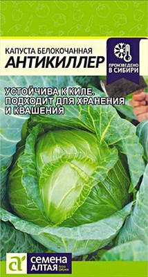 Семена Капуста белокочанная Просто-квашено 0,3гр Семена Алтая 115756 - фото 29739