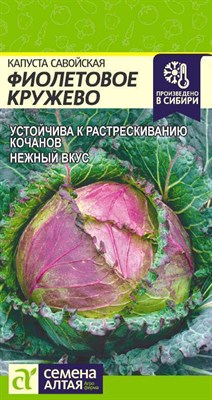 Семена Капуста савойская Фиолетовое Кружево 0,3г Семена Алтая 115778 - фото 29750