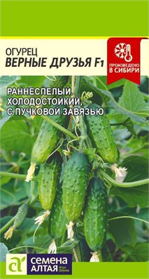 Семена Огурец Верные друзья 5шт Семена Алтая 116024 - фото 30129