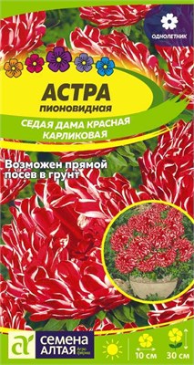 Семена Астра пионовидная Седая дама красная карликовая 0,1гр Семена Алтая 116326 - фото 30497