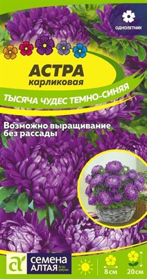 Семена Астра карликовая Тысяча чудес Темно-синяя 0,2гр Семена Алтая 116335 - фото 30506