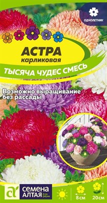 Семена Астра карликовая Тысяча чудес смесь 0,2гр Семена Алтая 116340 - фото 30511