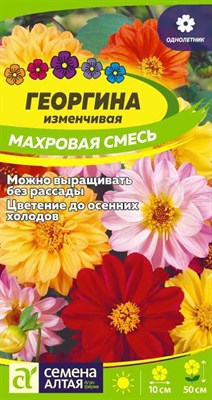 Семена Георгина Махровая смесь 0,2гр Семена Алтая 116356 - фото 30527