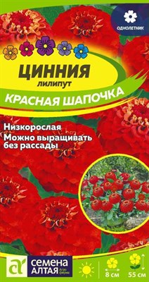 Семена Цинния лилипут Красная шапочка 0,3гр Семена Алтая 116377 - фото 30548