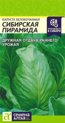 Семена Капуста белокачанная Сибирская пирамида 0,5гр Семена Алтая 117336 - фото 31670