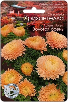 Семена Астра китайская Хризантелла Золотая осень 30шт 117488 - фото 31801