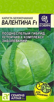 Семена Капуста белокочанная Валентина 0,1гр Семена Алтая 117664 - фото 32113