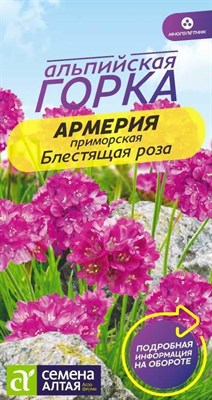 Семена Армерия Блестящая роза 0,03гр Семена Алтая 117695 - фото 32144