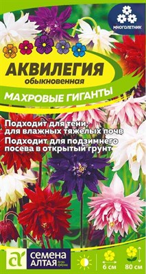 Семена Аквилегия Махровые гиганты 0,1гр Семена Алтая 117728 - фото 32185