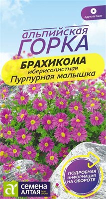 Семена Брахикома Пурпурная малышка 0,05гр Семена Алтая 117790 - фото 32259